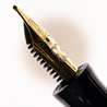 Esterbrook JR Pocket Penna Stilografica Fantasia Edizione Limitata