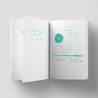 Diamine Soft Mint Ink Bottle 30 ml