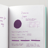 Diamine Grape Ink Bottle 80 ml