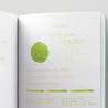 Diamine Spring Green Ink Bottle 30 ml