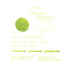 Diamine Spring Green Ink Bottle 30 ml