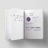 Diamine Music Vivaldi Ink Bottle 30 ml