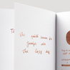 Diamine Warm Brown Ink Bottle 30 ml