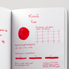 Visconti Red Ink Bottle 50 ml
