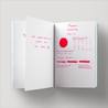 Diamine Inkvent Pink Ice Inchiostro 50 ml Red Edition Shimmer