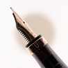 Twsbi Diamond 580 Penna Stilografica White Rose Gold II