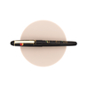 Platinum 3776 Century Kaga Hira Maki-e Fountain Pen Sansui