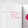 Diamine Classic Red Ink Bottle 80 ml