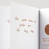 Diamine Guitar Desert Burst Ink Bottle 80 ml
