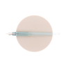 Pilot Iro-Utsushi Penna ad Intinzione Transparent Blue