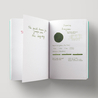 Diamine Evergreen Inchiostro 80 ml