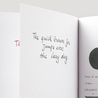 Diamine Graphite Inchiostro 80 ml