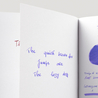 Pilot Iroshizuku Murasaki-Shikibu 6 Cartucce