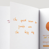Diamine Guitar Honey Burst Inchiostro 80 ml