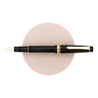Pilot Justus 95 Fountain Pen Stripe Black