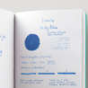 Diamine Misty Blue Inchiostro 80 ml