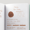 Diamine Raw Sienna Ink Bottle 80 ml