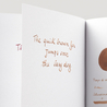 Diamine Raw Sienna Ink Bottle 80 ml