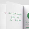 Diamine Woodland Green Inchiostro 80 ml