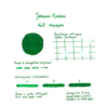 Jacques Herbin Vert Amazone Ink Bottle 50 ml