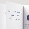 Diamine 150th Anniversary Lilac Night Inchiostro 40 ml