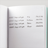 Eboya Houga Small Penna Stilografica Kunpuu