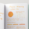 Diamine Shimmering Citrus Ice Ink Bottle 50 ml