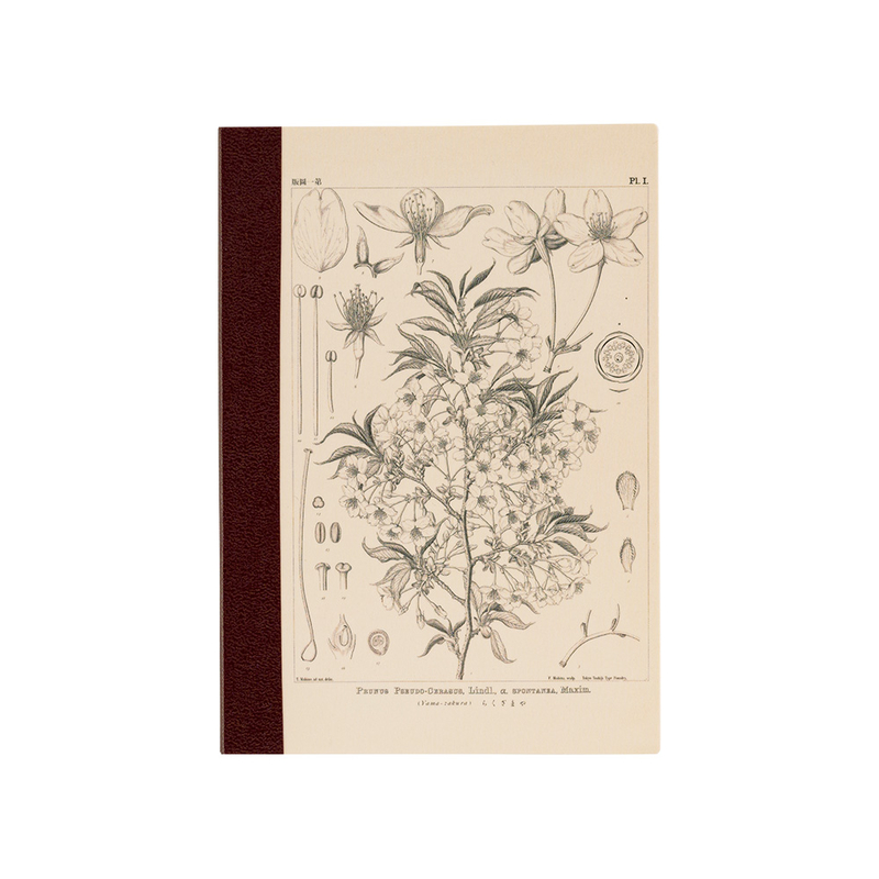 Hobonichi Plain Notebook A6 Yamazakura Quadretti