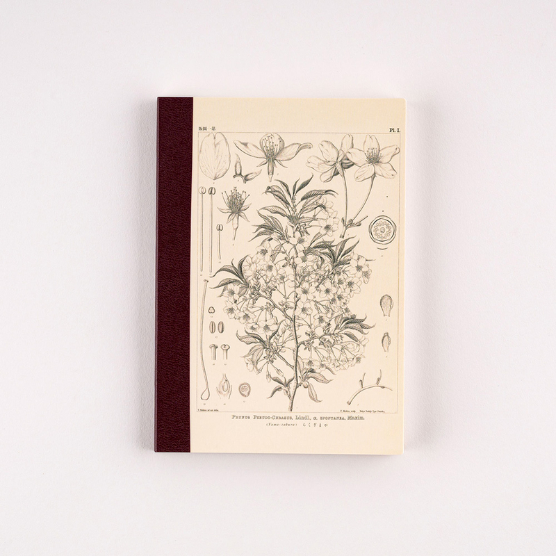 Hobonichi Plain Notebook A6 Yamazakura Quadretti