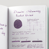 Diamine Shimmering Frosted Orchid Inchiostro 50 ml