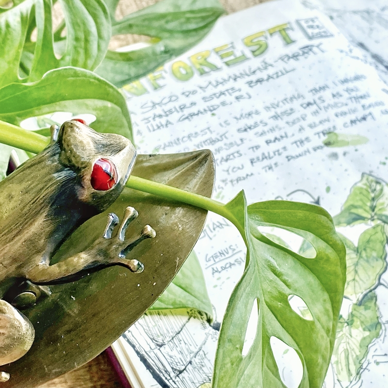 Esterbrook Tree Frog Clip Fermapagina