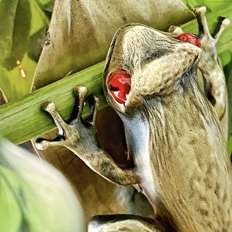 Esterbrook Tree Frog Clip Fermapagina