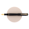 Delta Write Balance Penna Stilografica Nera & Oro