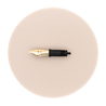 Delta Replacement Steel Nib Gold