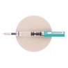 Twsbi Eco Fountain Pen Persian Green