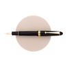 Pilot Custom 742 Signature Penna Stilografica Nera