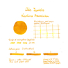 Color Traveler Ninoshima Baumkuchen Inchiostro 30 ml