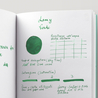 Lamy T10 Verde 5 Cartucce