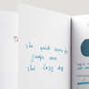 Lamy T53 Amazonite Inchiostro 30 ml