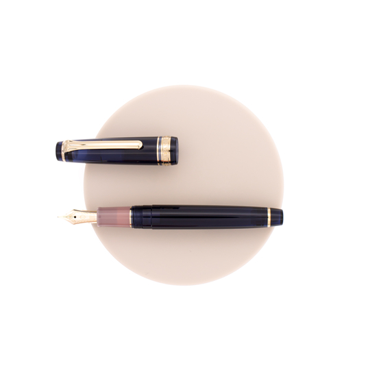 Sailor Pro Gear Slim Shikiori Sansui Penna Stilografica Yutsubame