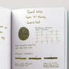 Robert Oster Robert Oster Shake 'N' Shimmy Candied Mint Ink Bottle 50 ml Special Edition