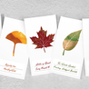 Wearingeul Wearingeul Leaf Color Swatch Maple