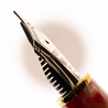 Platinum Platinum 3776 Century Celluloid Fountain Pen Koi