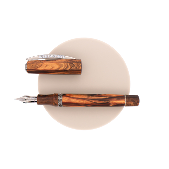 Visconti Medici Fountain Pen Ruthenium