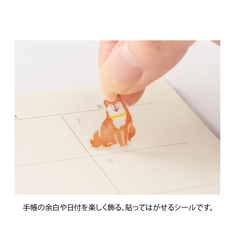 Midori Midori Color Sticker Brown