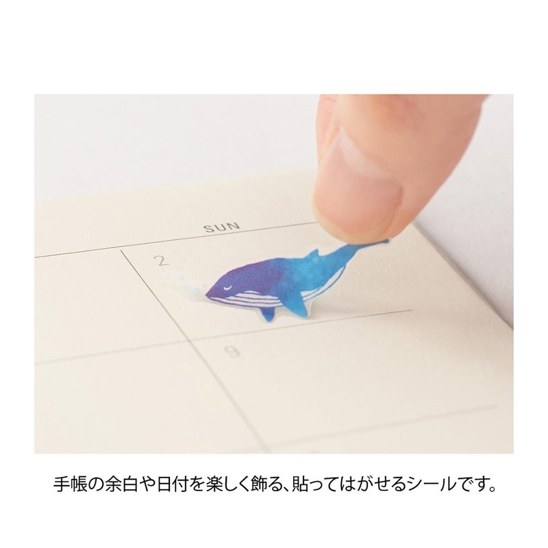 Midori Midori Color Sticker Adesivi Decorativi Blu