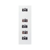 Midori Midori Paper Craft Museum Adesivi Decorativi Camera