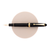 Pilot Pilot Custom 742 Penna Stilografica Nera