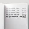 Opus 88 Opus 88 Premium Opera Penna Stilografica Green Dot