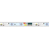 MT Masking Tape MT Ex Washi Tape  Winter Sports Curling